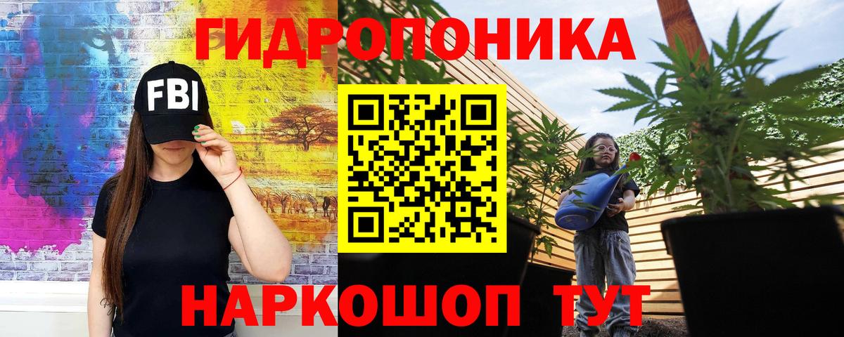 Марихуана White Widow Сургут